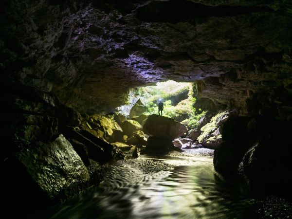Glow Worm Cave Photography Tour - Waitomo