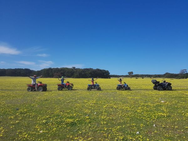 All Terrain Quad Adventure