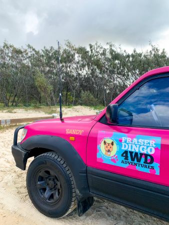 Fraser Dingo 4wd Hire - 2 Days on K'gari