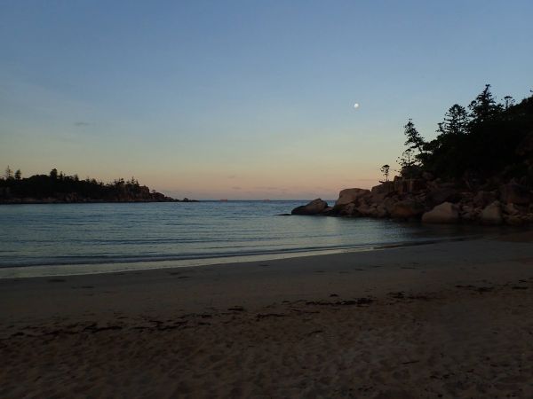 Guided Night Dive