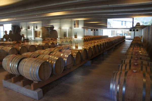Wine and City Full Day - Small Group Tour