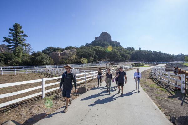 Vineyard Hike