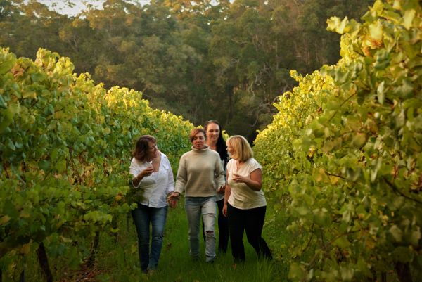 Pemberton Wine Discovery Tour
