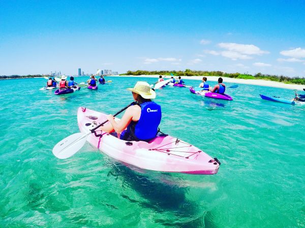 7:30am Morning Dolphin Kayaking and Snorkeling Tour