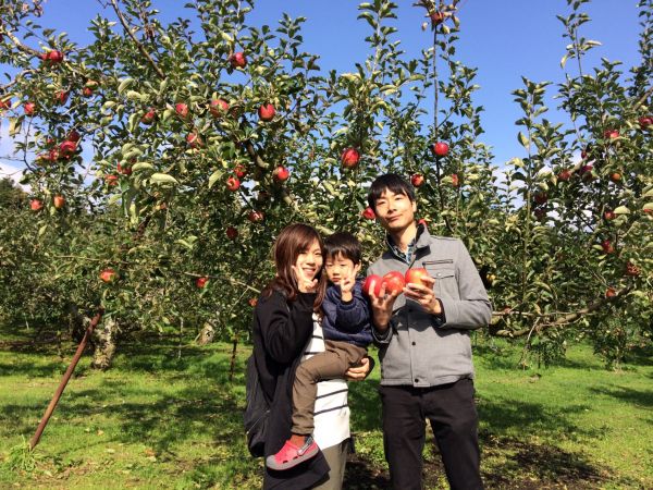 Apple-Picking in Autumn at Hirata