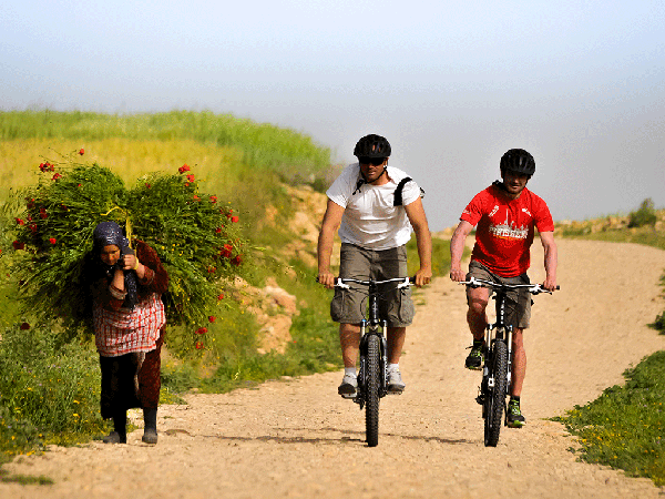 Mountain Bike Tour in Berber Countryside of Marrakech * VTT Palmeraie & Jbilets