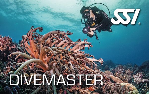 SSI Divemaster