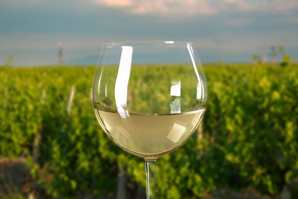 Yarra Valley Winery Private Car Tour Including Lunch With A Glass Of Wine