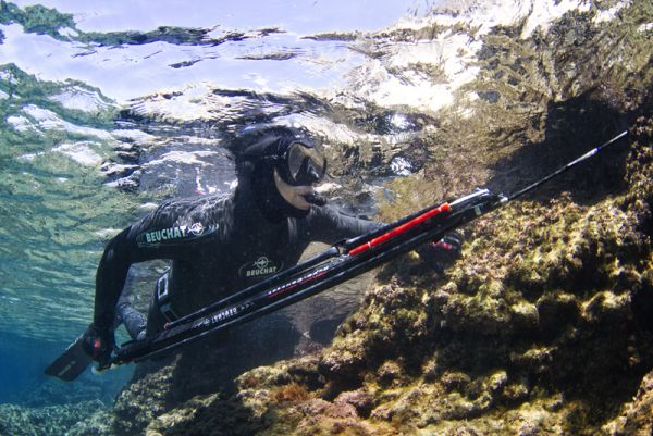 Spearfishing - Kawau Island