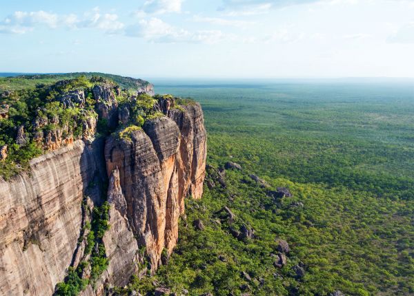 Cooinda 60 Minute Scenic Flight