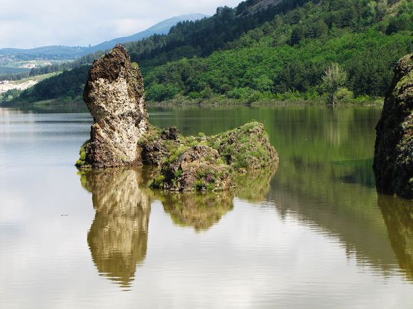 Kayak and Bike Adventure