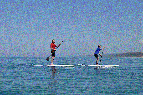 Stand Up Paddle Wildlife Tour & Beach 4x4 Day Trip- Noosa