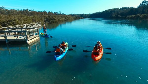 Glass Bottom Kayak Tour - Cullendulla Sanctuary