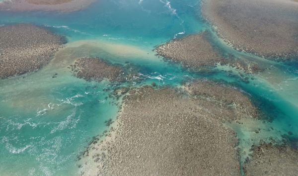 DBY-MRH | Montgomery Reef & Horizontal Falls Highlights ex Derby