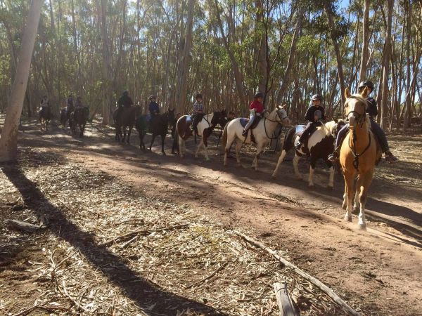 Horse Riding Party  - For Birthdays And Special Occasions - Woodlands Lodge