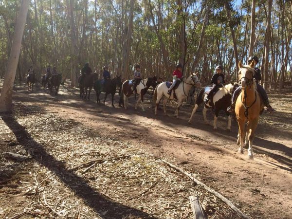 Horse Riding Party  - For Birthdays And Special Occasions