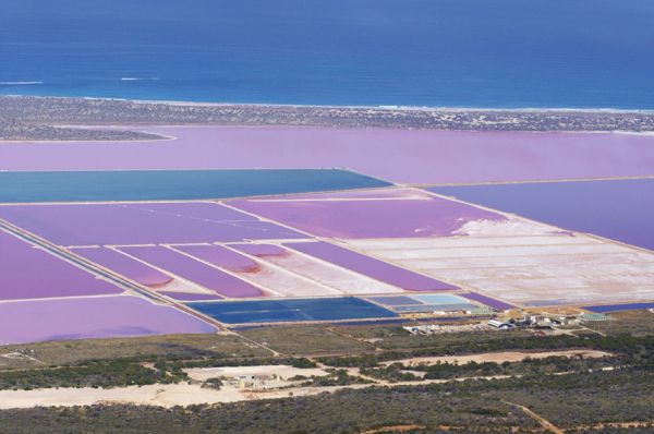 Abrolhos Islands, Pink Lake & Gorges Grand Flight From Kalbarri