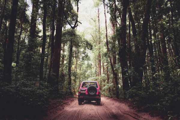 Couples 4wd Camper - 2 Days K'gari (Fraser Island)