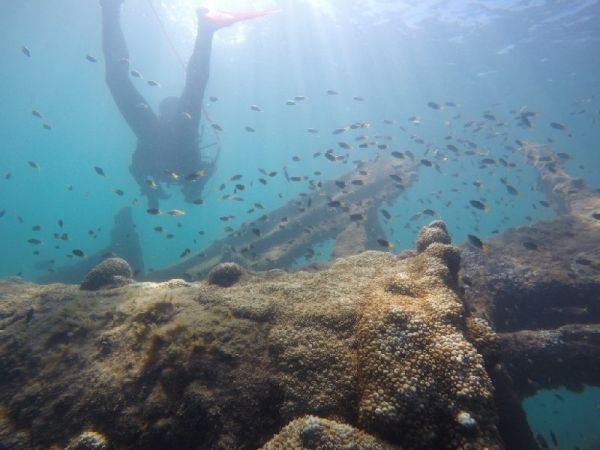 Certified Dive - Guided Shore Dive