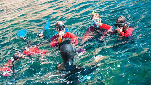 Descobrir o Parque Marinho em Snorkeling