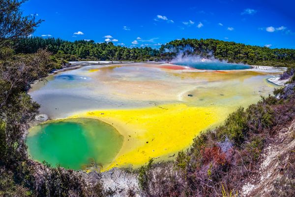 Rotorua Highlights Small Group Tour with Optional Extra Activities from Auckland